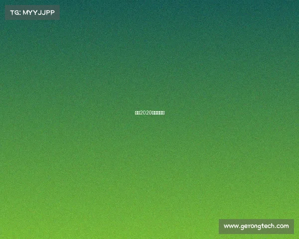 一龙2020年最新比赛