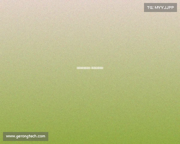 保时捷比赛事故视频-保时捷参加的比赛