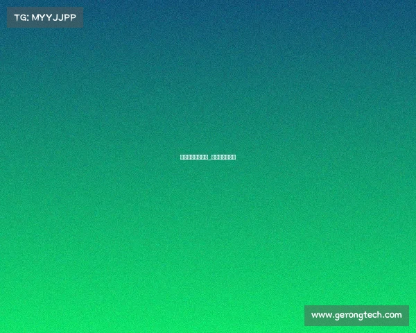 终极格斗赛事回拨_终极格斗锦标赛